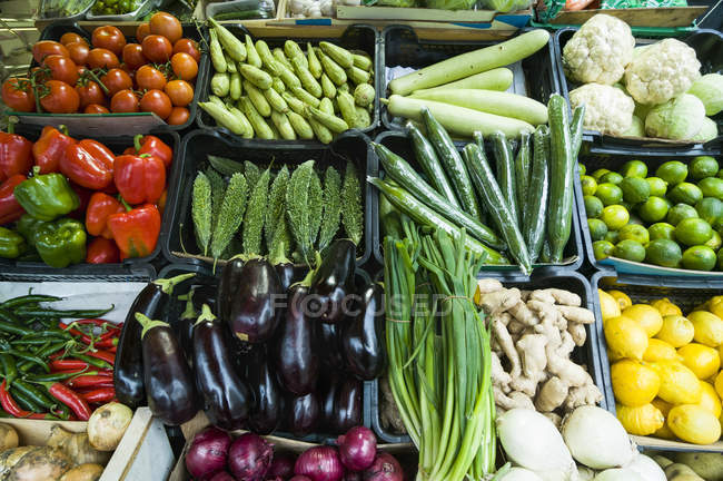 Hortalizas y frutas en cajas de plástico - foto de stock