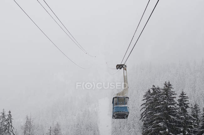 Cable car over coniferous trees in winter — Stock Photo