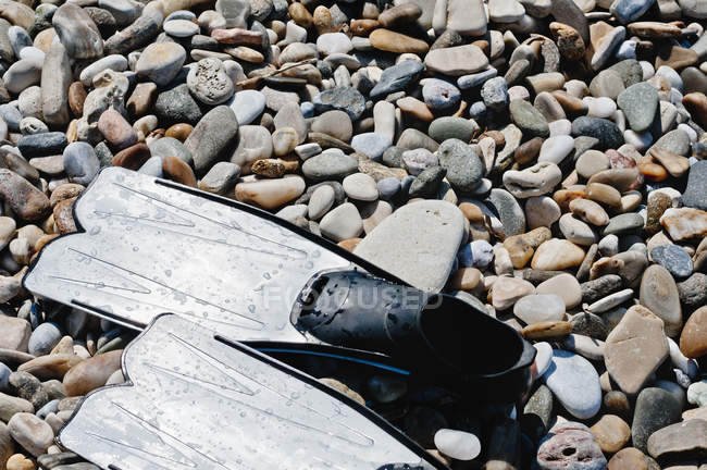 Swim fins on pebbles — Stock Photo