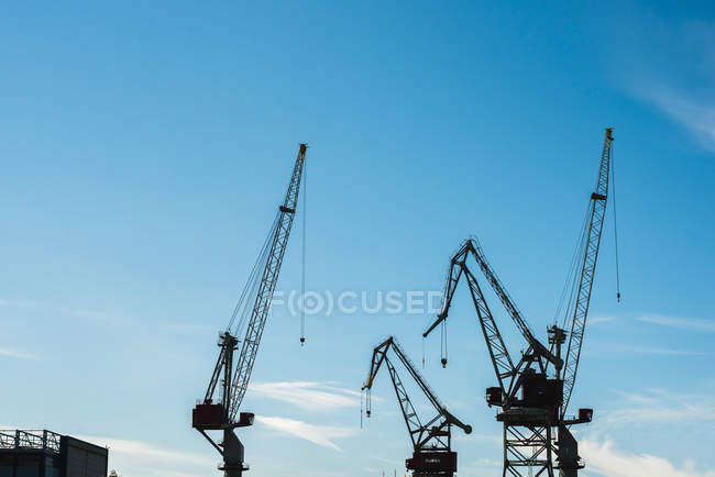 Silhouettes of cranes on blue — Stock Photo