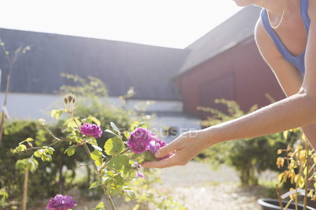 Жінка торкається квітки в саду — стокове фото