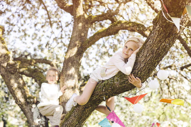 Мальчик и девочка лежат на ветвях деревьев — стоковое фото