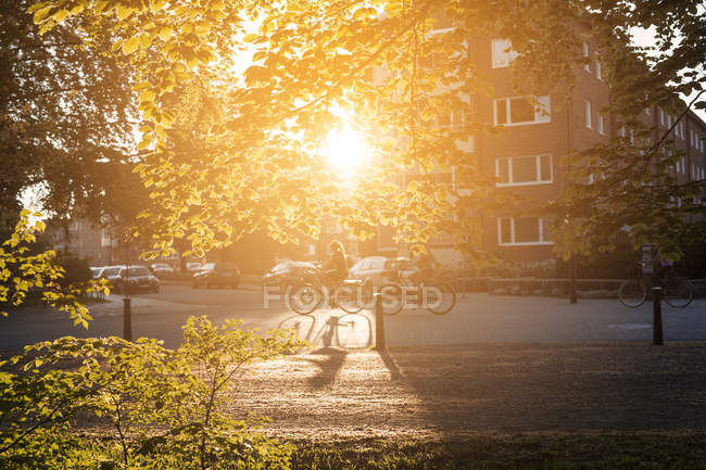 Sol brillando a través de hojas con ciclista irreconocible cabalgando en la calle en Malmo, Suecia - foto de stock