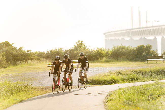 Велогонщики ездят по сельской дороге — стоковое фото