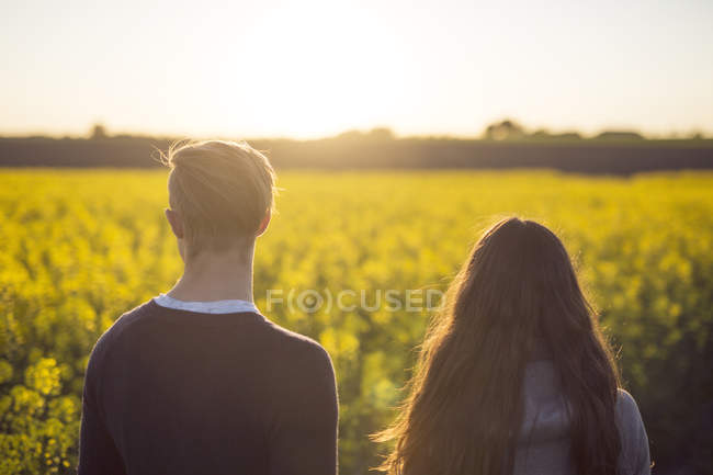 Hombre y mujer mirando el campo de canola - foto de stock