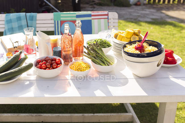 Garden party table with healthy food — Stock Photo