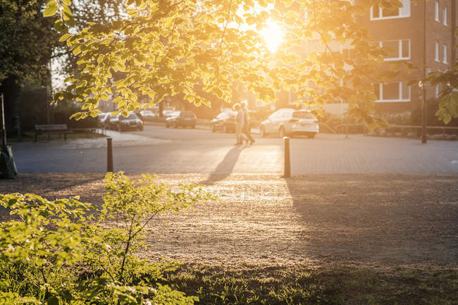 Sole che splende tra le foglie con una coppia irriconoscibile che cammina per strada a Malmo, Svezia — Foto stock