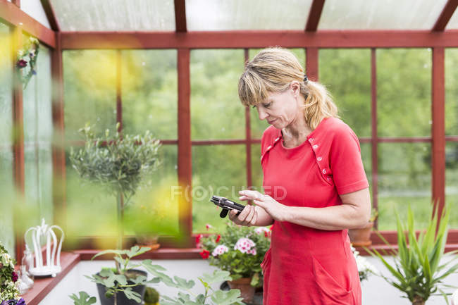 Mujer usando teléfono inteligente en el conservatorio - foto de stock