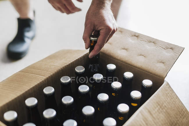 Brewery worker putting beer bottles into cardboard box, close-up — Stock Photo