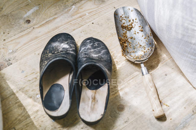 Vista de alto ângulo de chinelos antigos e pá suja no chão de madeira — Fotografia de Stock