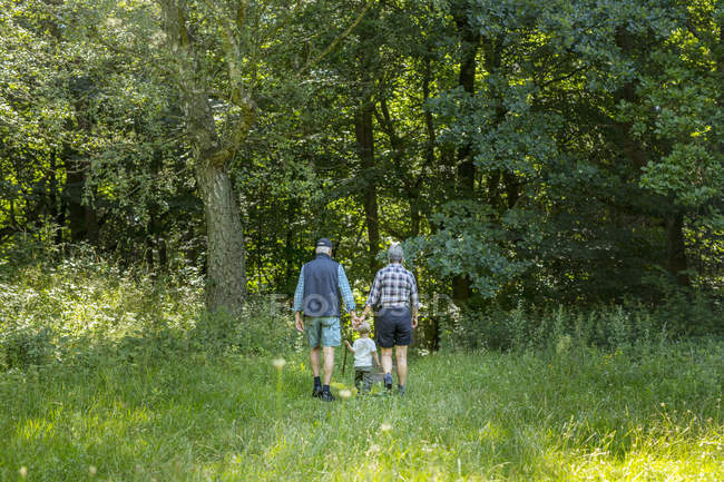 Abuelos caminando con su nieto (2-3) en el bosque - foto de stock