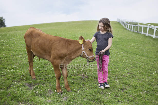Ragazza (4-5) in piedi accanto al vitello — Foto stock