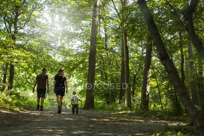 Fils (2-3) avec parents marchant dans la forêt — Photo de stock