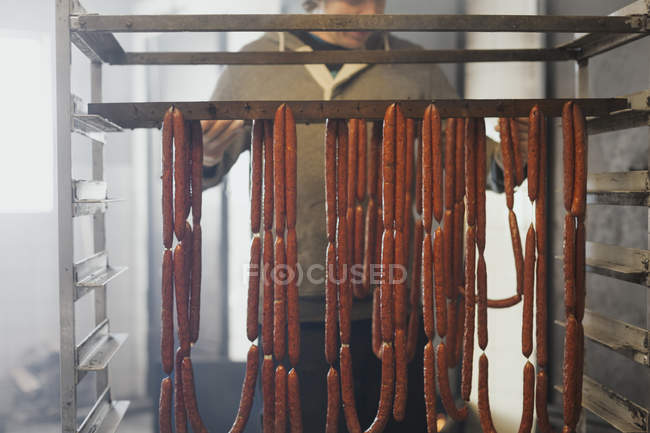 Man inserting pork sausages into smokehouse — Stock Photo