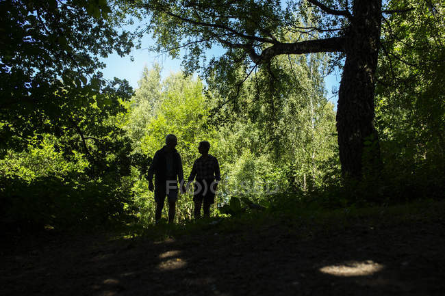 Silhueta de casal na floresta durante o dia — Fotografia de Stock