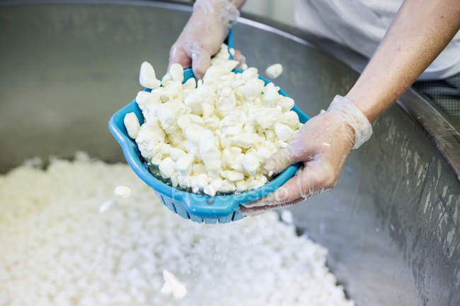 Pessoa que prepara queijo cottage — Fotografia de Stock