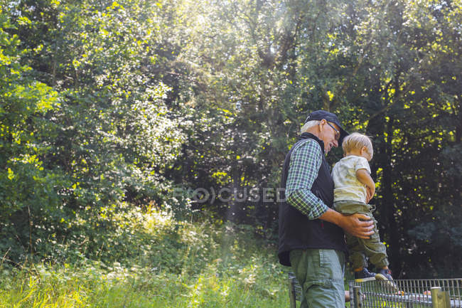 Uomo che tiene il nipote (2-3) nella foresta durante il giorno — Foto stock
