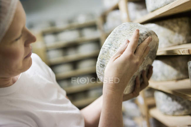 Donna mettendo formaggio a maturazione rack — Foto stock