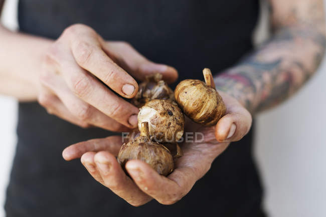 Mid section of man holding fresh garlic — Stock Photo