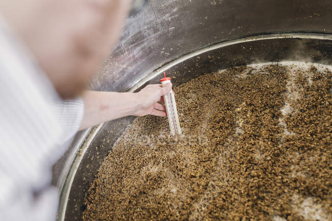 Работник пивоварни проверяет температуру пива — стоковое фото