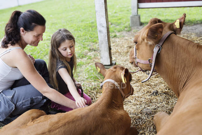 Madre con figlia (4-5) vitello accarezzando — Foto stock