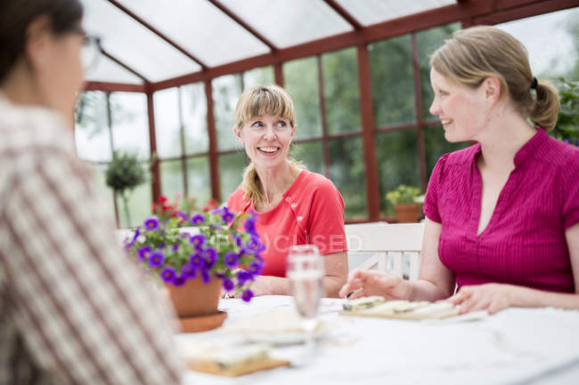 Gente hablando en la mesa en el conservatorio - foto de stock