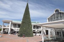 Christmas tree on town square — Stock Photo