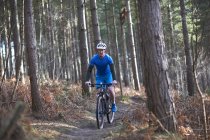 Горный велосипед в лесу — стоковое фото