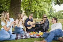Freunde genießen Picknick am Ufer — Stockfoto