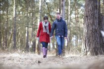 Paar geht im Wald spazieren — Stockfoto
