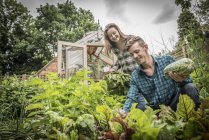 Giardinieri lavorano in orto — Foto stock