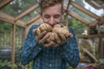 Giardiniere che tiene patate in mano — Foto stock