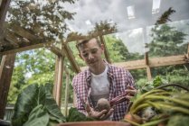 Male gardener works in greenhouse — Stock Photo