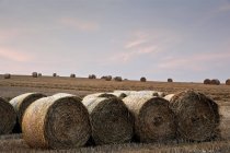 Landscape of hay bales in field — Stock Photo