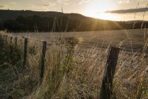 Сонце сяє і заднім освітленням сільська місцевість — стокове фото
