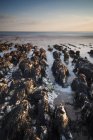 Rocky beach at susnet with long exposure — Stock Photo
