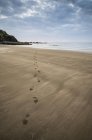 Footprints on empty beach — Stock Photo
