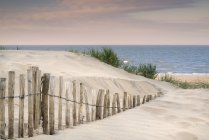 Landscape of grass in sand dunes — Stock Photo