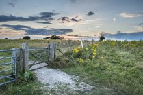 Sunset landscape over rolling countryside — Stock Photo