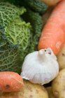 Чесночная морковь и капуста — стоковое фото