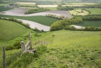 Горбистий ландшафт англійській сільській місцевості — стокове фото