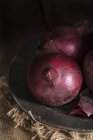 Cipolle rosse sul piatto — Foto stock