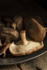 Fresh shiitake mushrooms on plate — Stock Photo