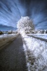 Impresionante paisaje infrarrojo único - foto de stock