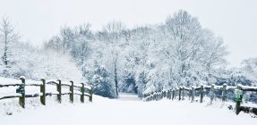 Nieve Paisaje invierno - foto de stock