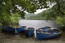 Old fashioned rowing boats on shore — Stock Photo