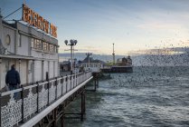 Murmuración de Starling sobre Brighton Pier - foto de stock