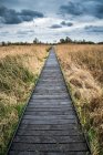 Stormy sky over wetlands with boardwalk path — Stock Photo
