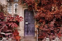 Old wooden door of stone brick house — Stock Photo