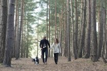Casal fora com o cão na caminhada da floresta — Fotografia de Stock
